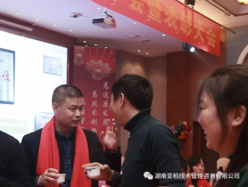 湖南亚柏技术管理咨询有限公司,衡阳房屋建设工程监测,结构安全性评估
