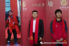 湖南亚柏技术管理咨询有限公司,衡阳房屋建设工程监测,结构安全性评估