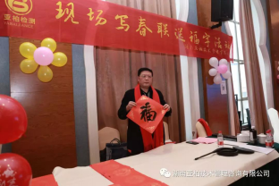 湖南亚柏技术管理咨询有限公司,衡阳房屋建设工程监测,结构安全性评估