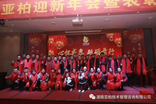 湖南亚柏技术管理咨询有限公司,衡阳房屋建设工程监测,结构安全性评估